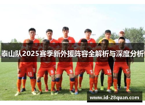 泰山队2025赛季新外援阵容全解析与深度分析