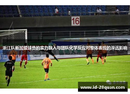 浙江队新加盟球员的实力融入与团队化学反应对整体表现的深远影响