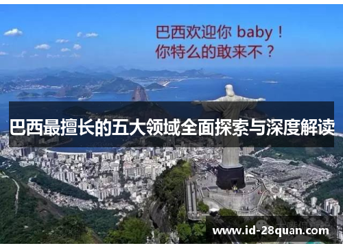 巴西最擅长的五大领域全面探索与深度解读